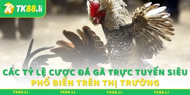 Cược đá gà trực tuyến siêu phổ biến