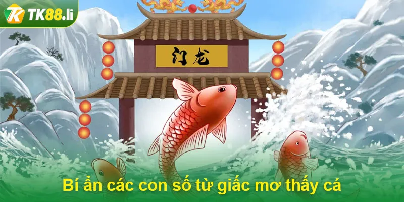 Bí ẩn các con số từ giấc mơ thấy cá