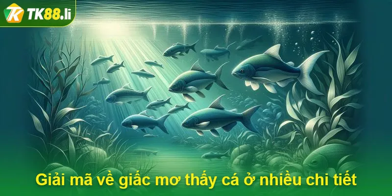 Giải mã về giấc mơ thấy cá ở nhiều chi tiết