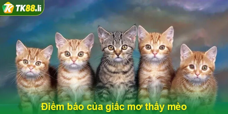 Điềm báo của giấc mơ thấy mèo