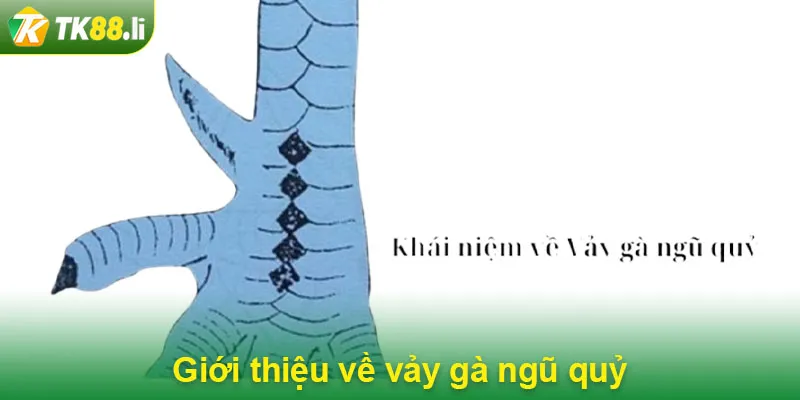 Giới thiệu về vảy gà ngũ quỷ