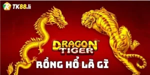 Rồng hổ là gì