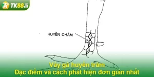 Vảy gà huyền trâm