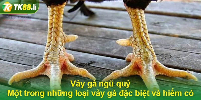 Vảy gà ngũ quỷ