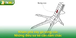 Vảy gà song cúc